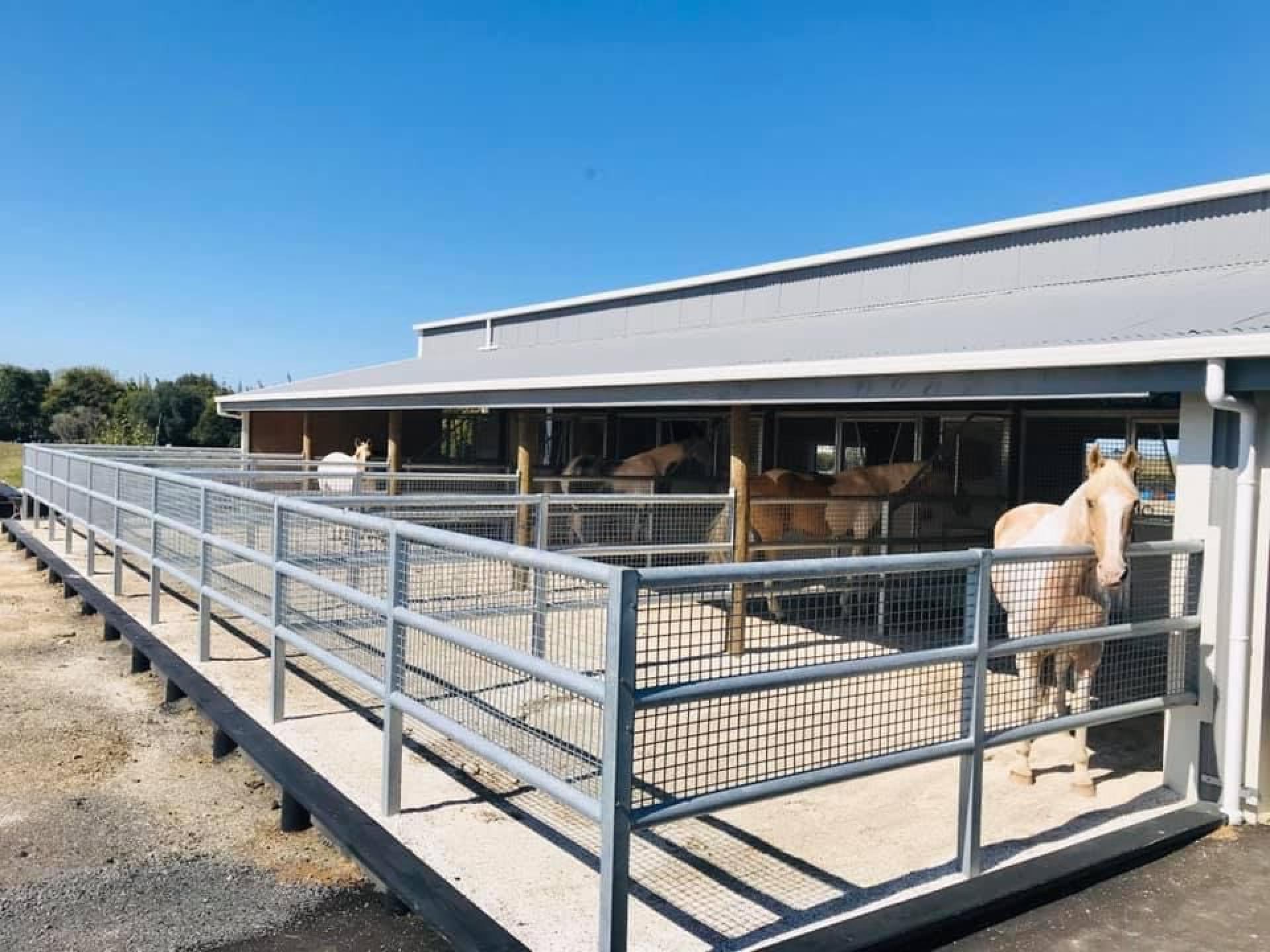 Horse yards NZ
